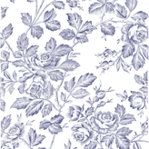 aaaaaaaa