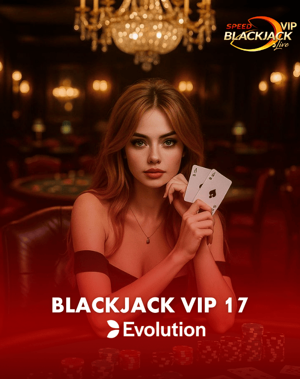 Blackjack VIP 17