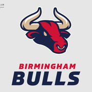 Birmingham-Bulls