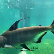 Zoo Negara8