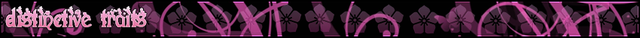 Sil-annals-headers-distinctive-traits.png