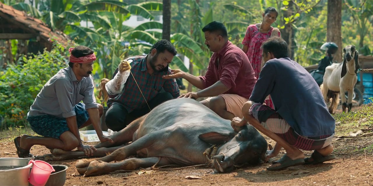 Palthu Janwar Screenshot