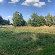 IMG-3598