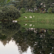 IMG-2602