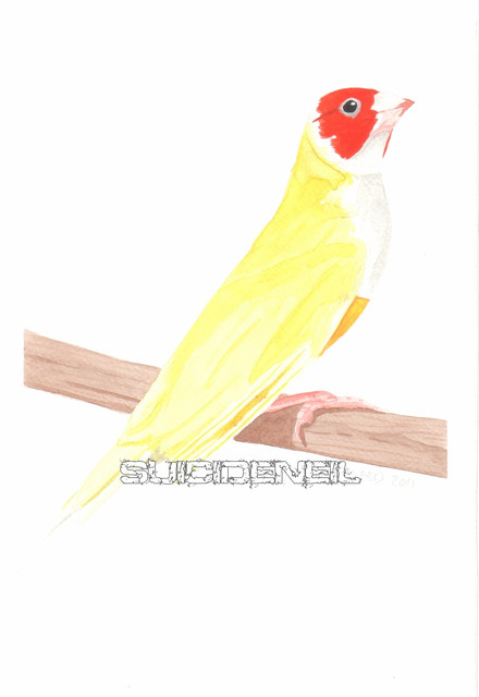 Painting15
