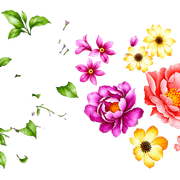 24 FLOWER