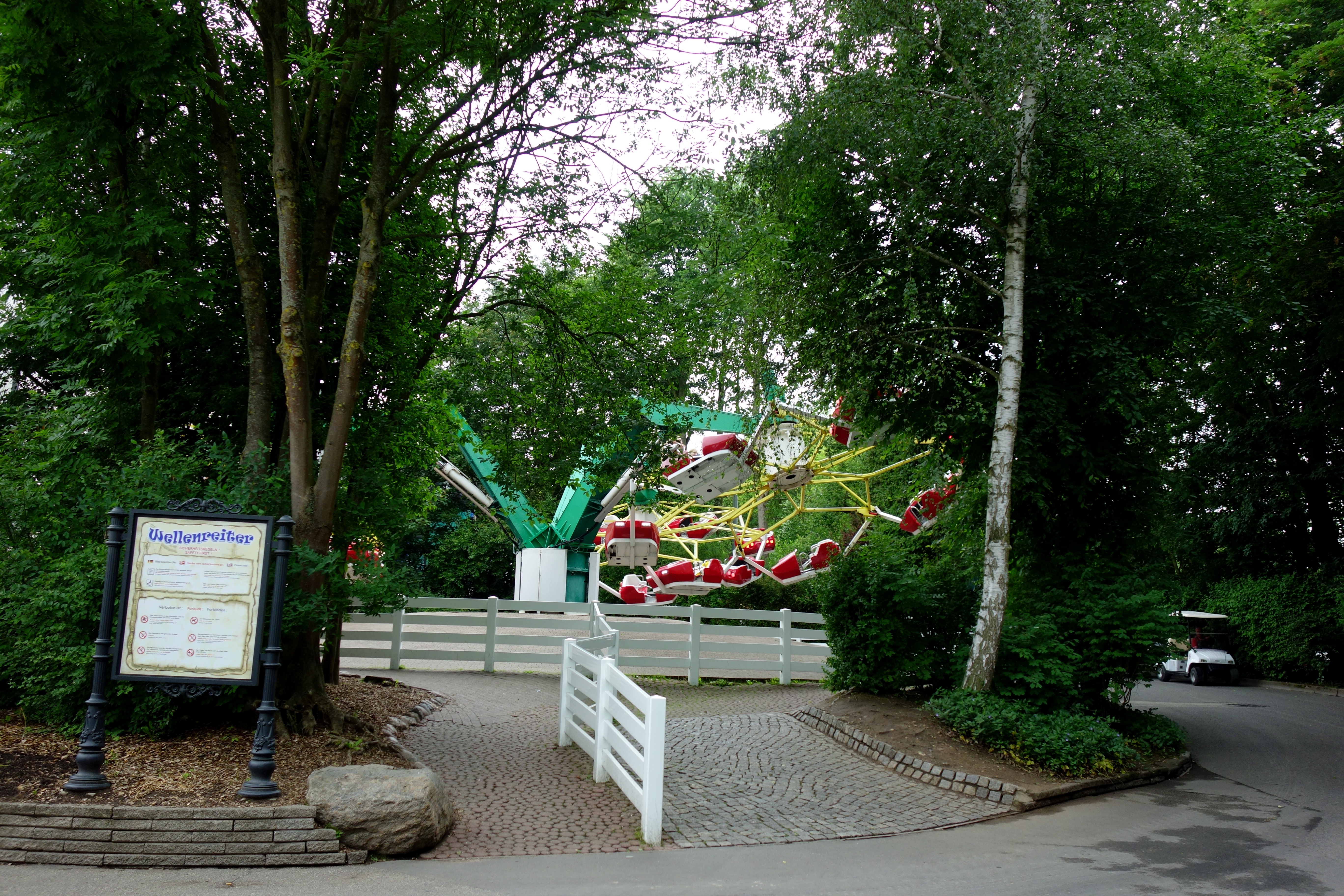 DSC07011