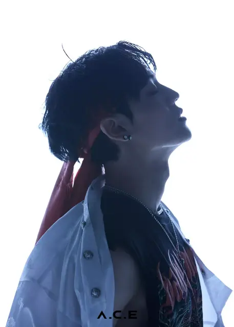 chan a c e 1109608