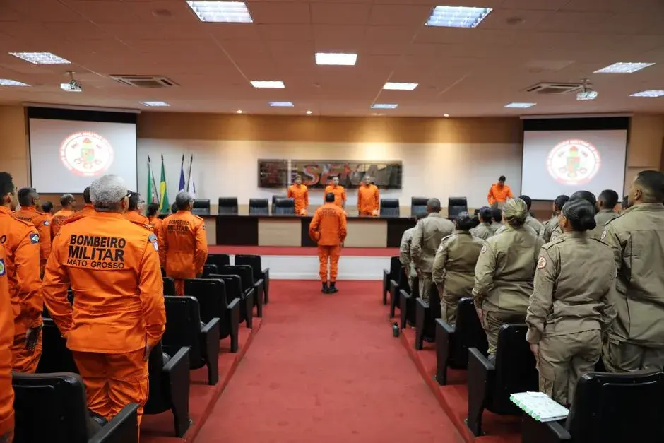Documente militare secrete, găsite abandonate pe un câmp din județul Timiș