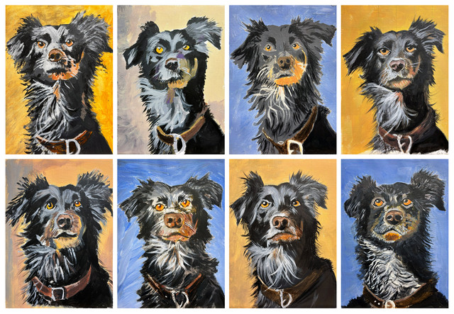 dogcollection11feb25
