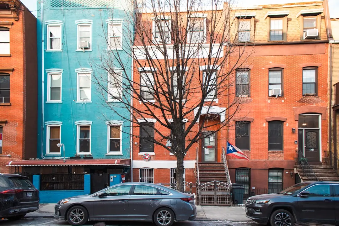 Apartamentul din Brooklyn: O Familie Transformă Spațiul Închiriat Într-o Galerie Vie