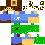 CST1229 Minecraft Skin