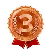 bronze crown badge