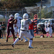 IMG-4335