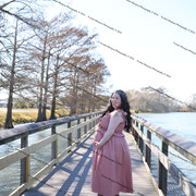 IMG 2662