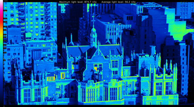 SPI10145-heatmap
