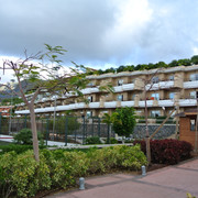 DSC-2578
