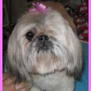 lizzie-lu