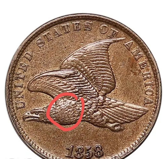 Opinions-On-Buying-Fom-Great-Southern-Coins