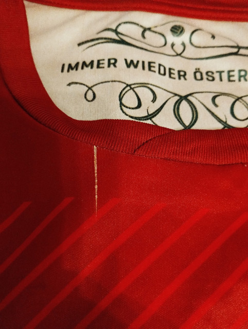 austria-home-pull2