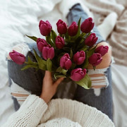 tulipe