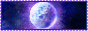 animwp1
