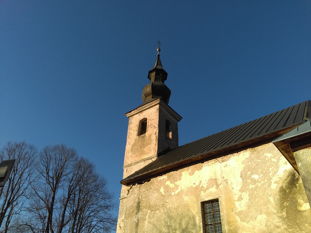 IMAG2275
