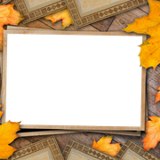 1433