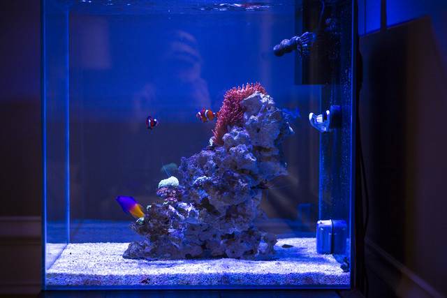 IMG-4949.jpg