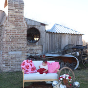 IMG-4461