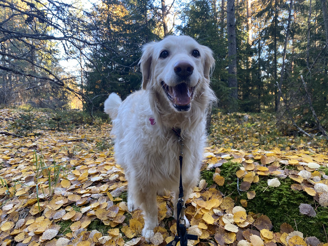 3823-DF69-E28-C-4917-ABE9-4-B9-AE2-DC187