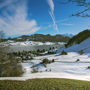 IMGP5158