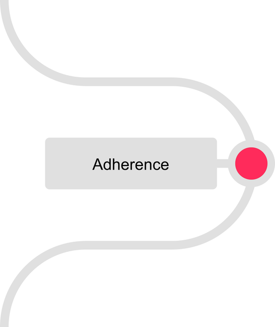 Version Control Lead - Adherence
