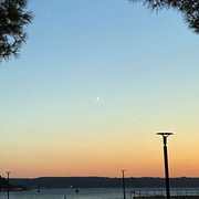 IMG-2621