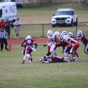 IMG-2295