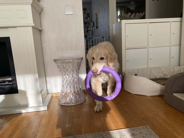 9-D6-DAFD8-8-D65-4722-996-C-96-EEF0282-C