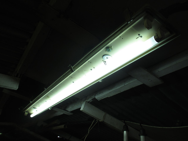 IMG-3361.jpg