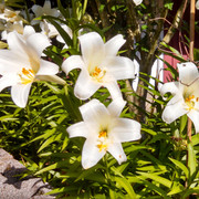 IMG 20140609 180216 604