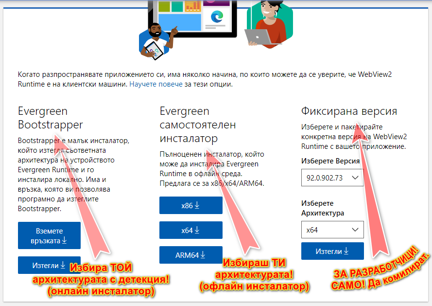 webview2-page.png