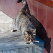 DSCF0648