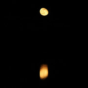 IMG-3418