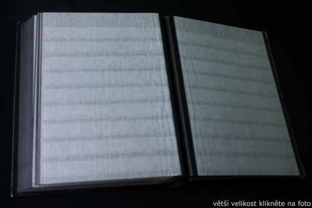 IMG-6871.jpg