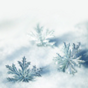 snowflakes-by-woolfres-33