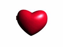 IMG-2534.gif