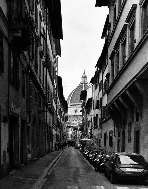 Basilico 2