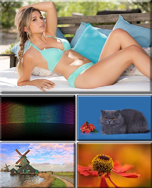 Computer Desktop Wallpapers Collection. Part 2846