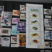 IMG-3450