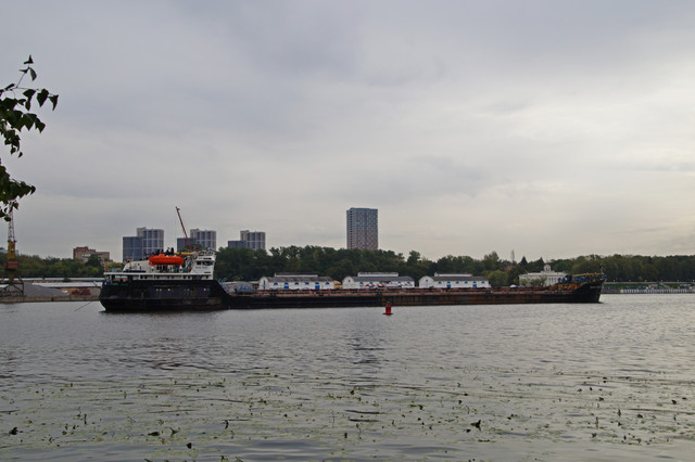 DSC07330
