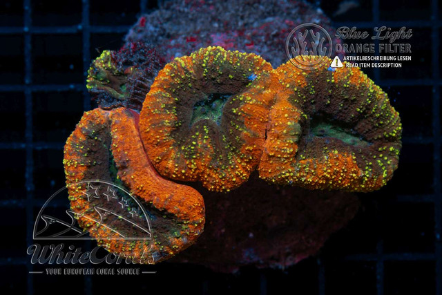 F231101-059