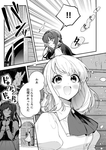 DLRAW-NET-005